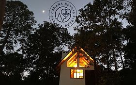 Betooz Cabin
